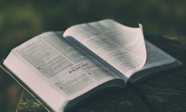 Не верьте слухам: мормоны на самом деле ценят Библию