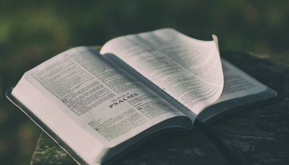 Не верьте слухам: мормоны на самом деле ценят Библию