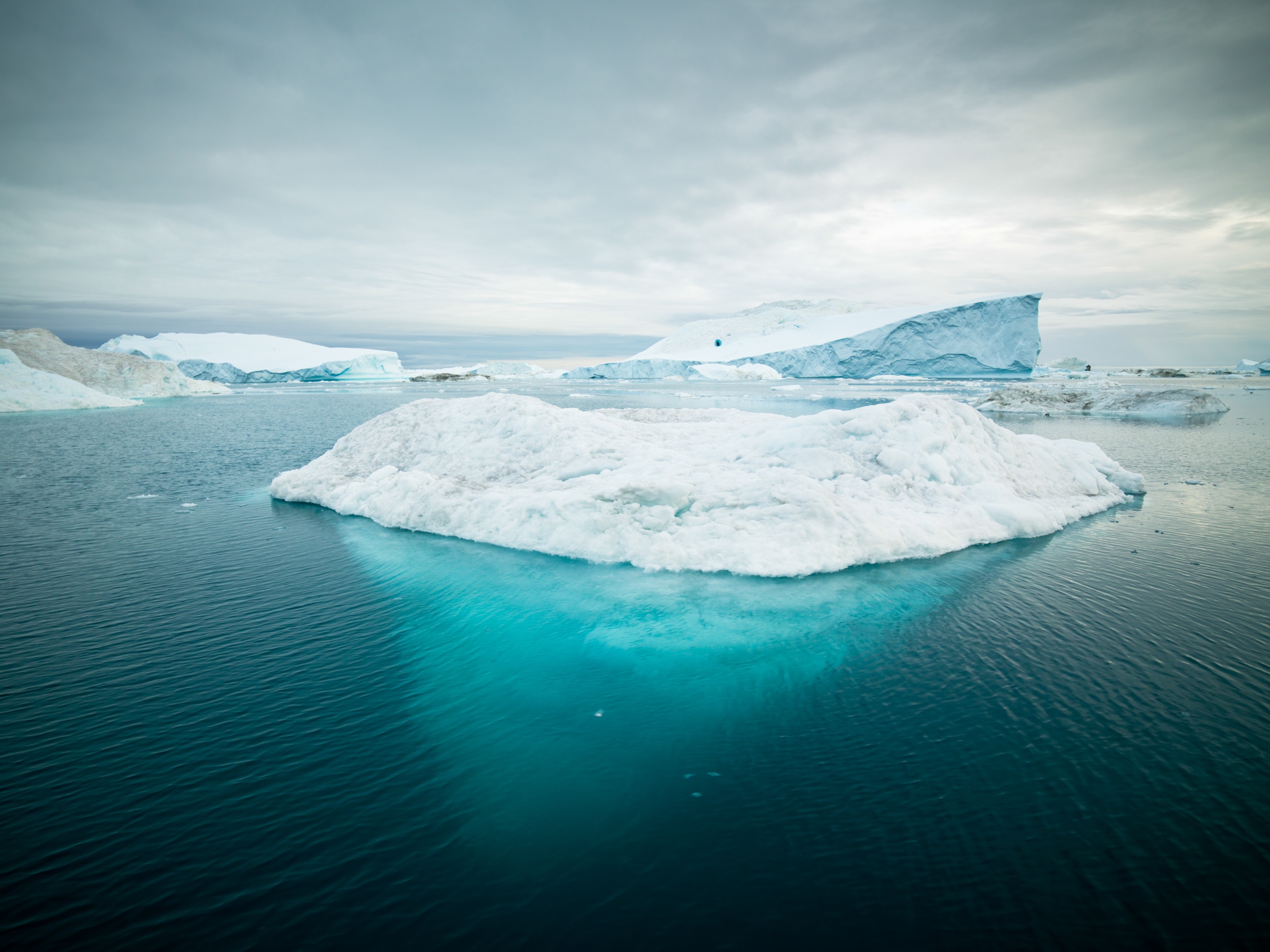 Лед 2 океан. Море Уэдделла ледник. Ледник Антарктида Арктика Гренландия. Ледниковый Фьорд Илулиссат. Айсберги Гренландии.